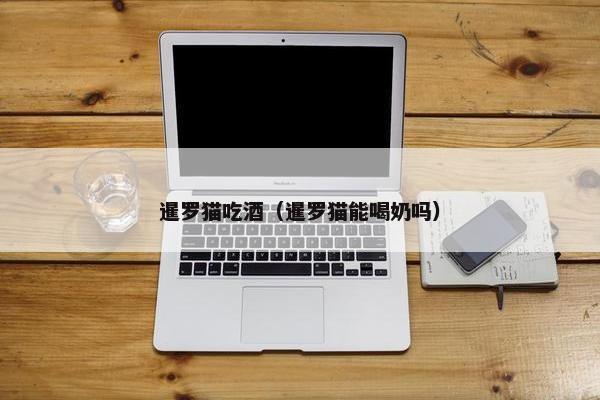 暹罗猫吃酒（暹罗猫能喝奶吗）
