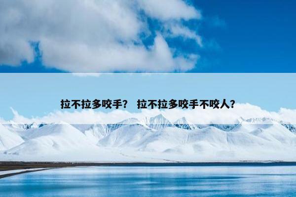 拉不拉多咬手？ 拉不拉多咬手不咬人？