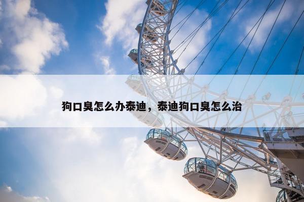 狗口臭怎么办泰迪，泰迪狗口臭怎么治