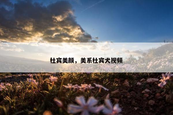 杜宾美颜，美系杜宾犬视频
