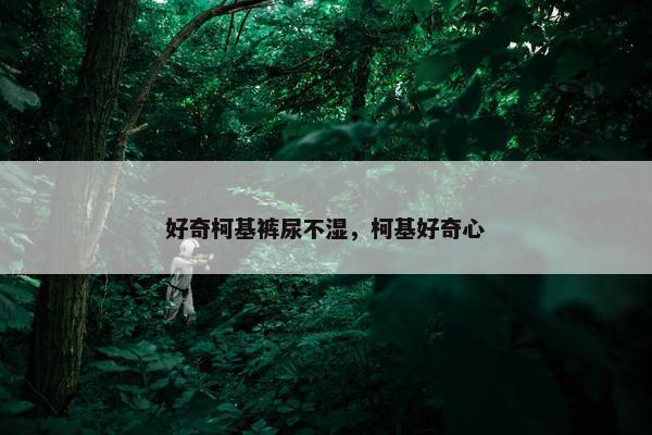 好奇柯基裤尿不湿，柯基好奇心