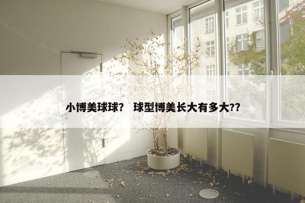 小博美球球？ 球型博美长大有多大?？