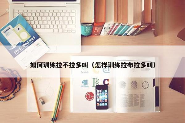 如何训练拉不拉多叫（怎样训练拉布拉多叫）