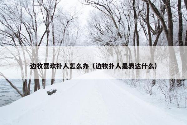 边牧喜欢扑人怎么办（边牧扑人是表达什么）