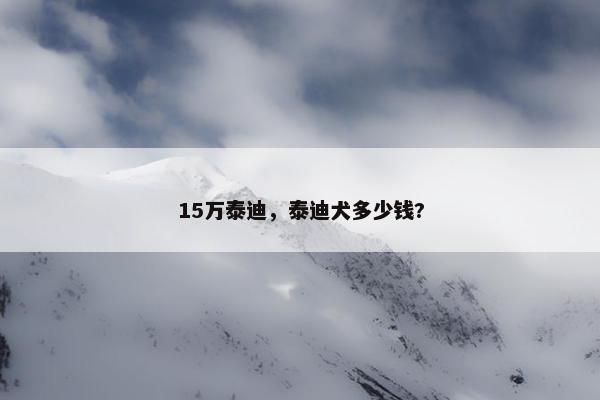 15万泰迪，泰迪犬多少钱?