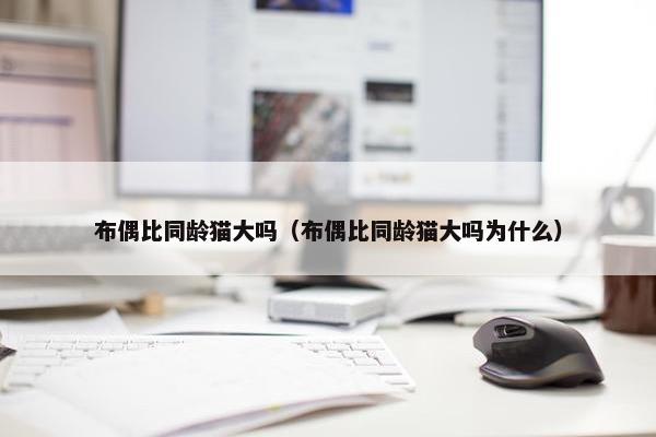 布偶比同龄猫大吗（布偶比同龄猫大吗为什么）