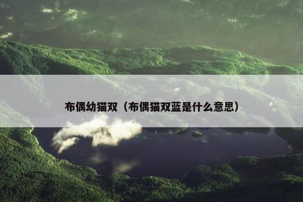 布偶幼猫双（布偶猫双蓝是什么意思）