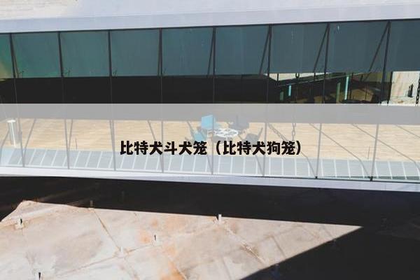 比特犬斗犬笼（比特犬狗笼）