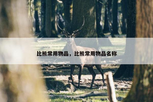 比熊常用物品，比熊常用物品名称