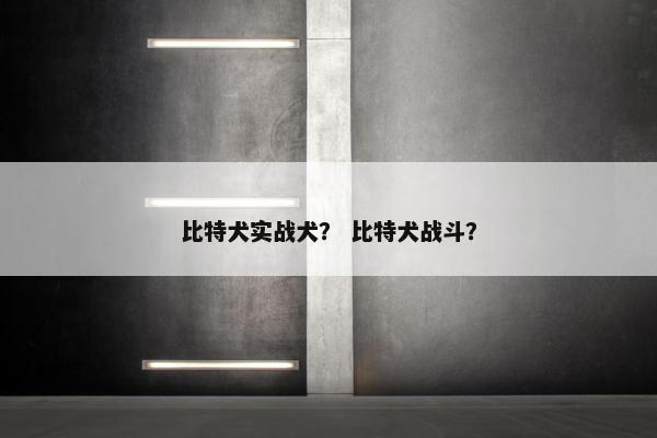 比特犬实战犬？ 比特犬战斗？