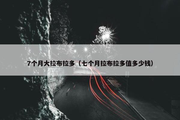 7个月大拉布拉多（七个月拉布拉多值多少钱）