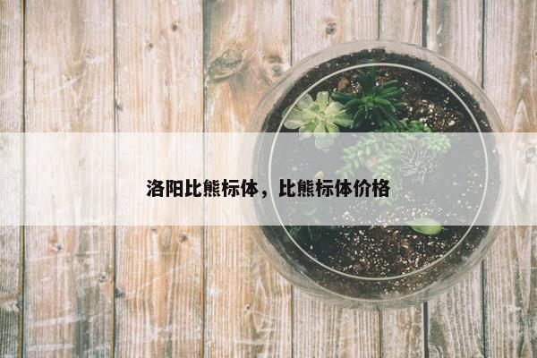 洛阳比熊标体，比熊标体价格
