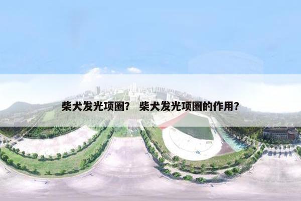 柴犬发光项圈？ 柴犬发光项圈的作用？