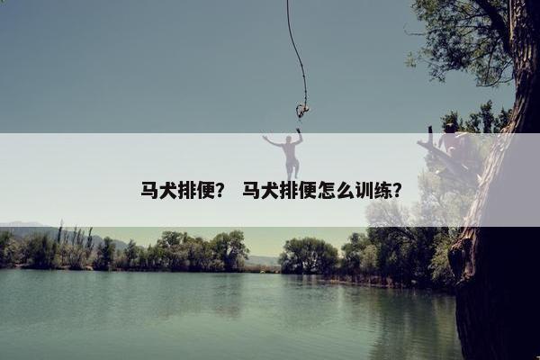马犬排便？ 马犬排便怎么训练？