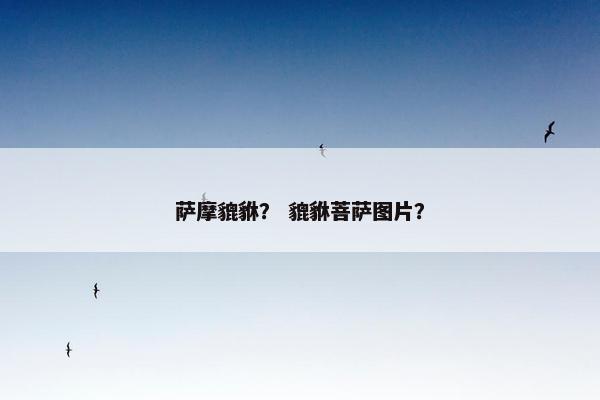 萨摩貔貅？ 貔貅菩萨图片？