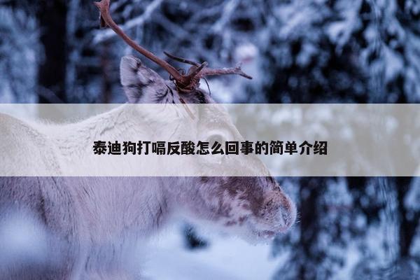 泰迪狗打嗝反酸怎么回事的简单介绍