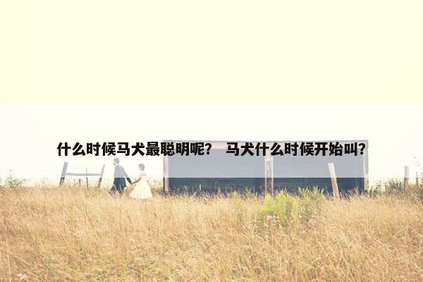 什么时候马犬最聪明呢？ 马犬什么时候开始叫？