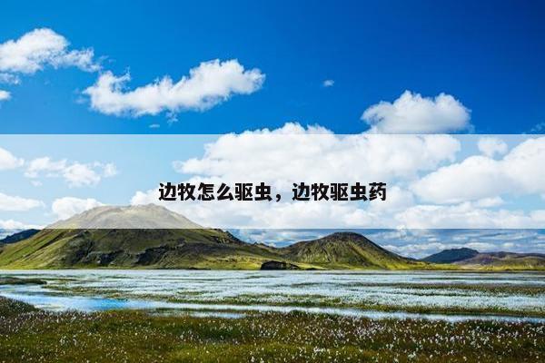 边牧怎么驱虫，边牧驱虫药