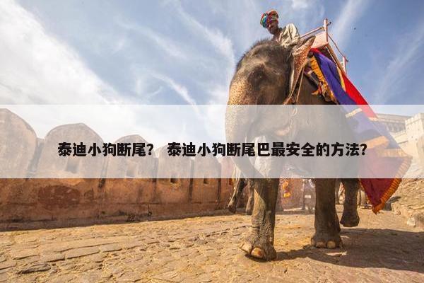 泰迪小狗断尾？ 泰迪小狗断尾巴最安全的方法？