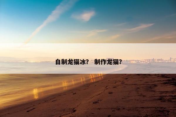 自制龙猫冰？ 制作龙猫？