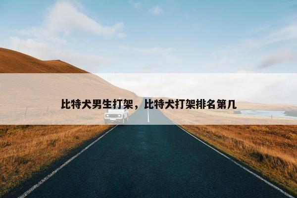 比特犬男生打架，比特犬打架排名第几