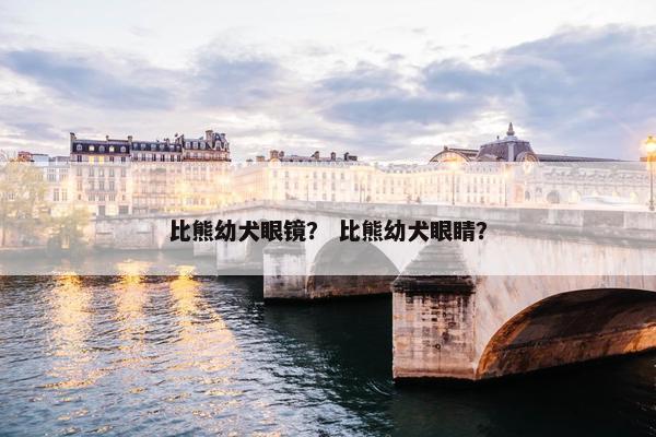 比熊幼犬眼镜？ 比熊幼犬眼睛？