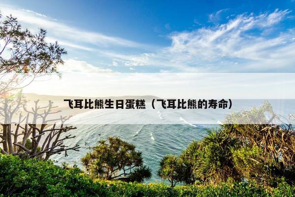 飞耳比熊生日蛋糕（飞耳比熊的寿命）