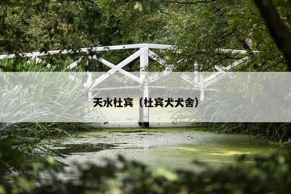 天水杜宾（杜宾犬犬舍）