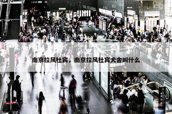 南京拉风杜宾，南京拉风杜宾犬舍叫什么