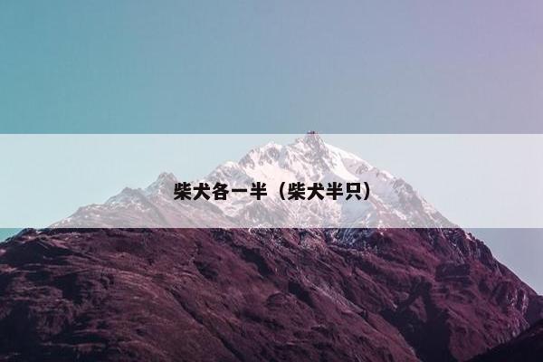 柴犬各一半（柴犬半只）