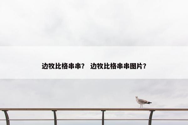 边牧比格串串？ 边牧比格串串图片？