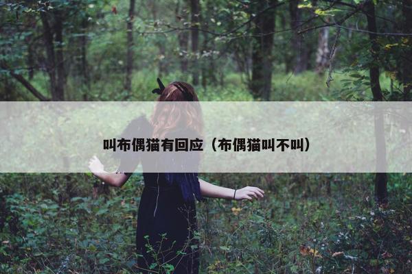叫布偶猫有回应（布偶猫叫不叫）