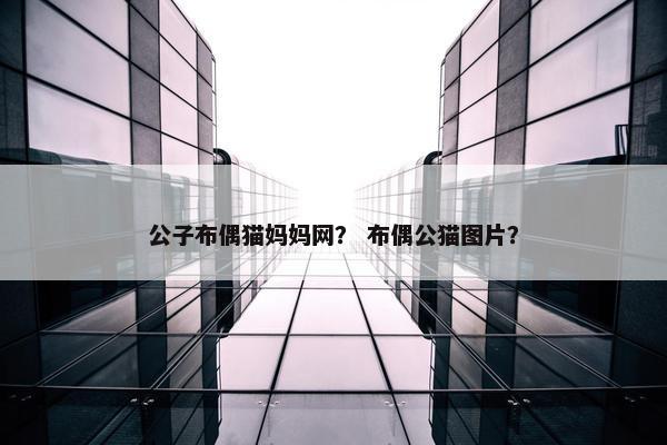 公子布偶猫妈妈网？ 布偶公猫图片？