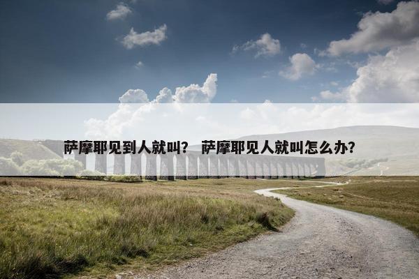 萨摩耶见到人就叫？ 萨摩耶见人就叫怎么办？