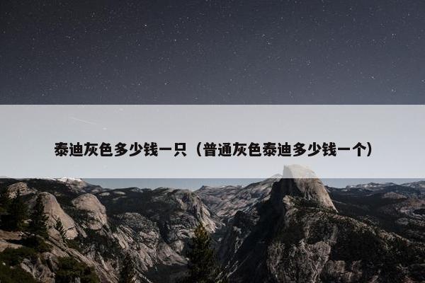 泰迪灰色多少钱一只（普通灰色泰迪多少钱一个）