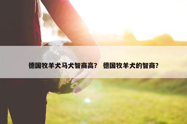 德国牧羊犬马犬智商高？ 德国牧羊犬的智商？