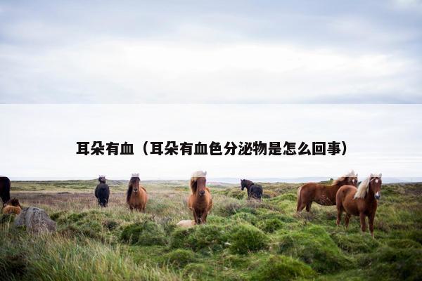 耳朵有血（耳朵有血色分泌物是怎么回事）