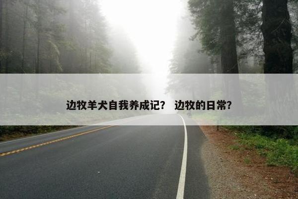 边牧羊犬自我养成记？ 边牧的日常？