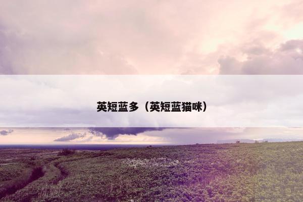 英短蓝多（英短蓝猫咪）