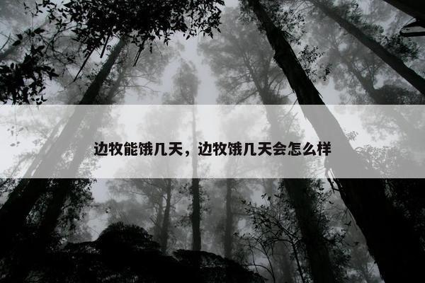 边牧能饿几天，边牧饿几天会怎么样