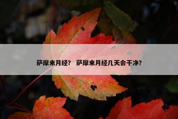 萨摩来月经？ 萨摩来月经几天会干净？