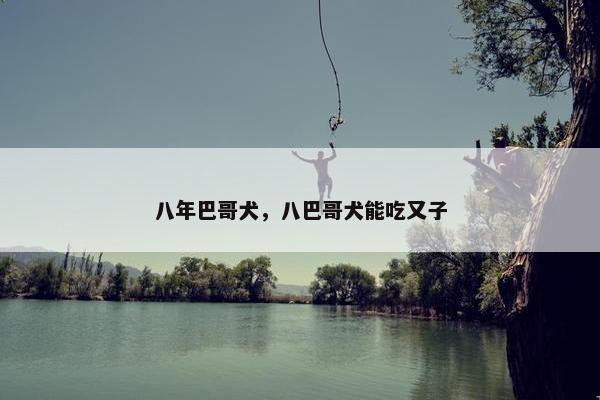 八年巴哥犬，八巴哥犬能吃又子
