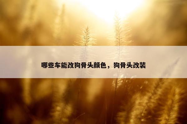 哪些车能改狗骨头颜色，狗骨头改装