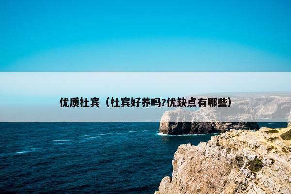 优质杜宾（杜宾好养吗?优缺点有哪些）
