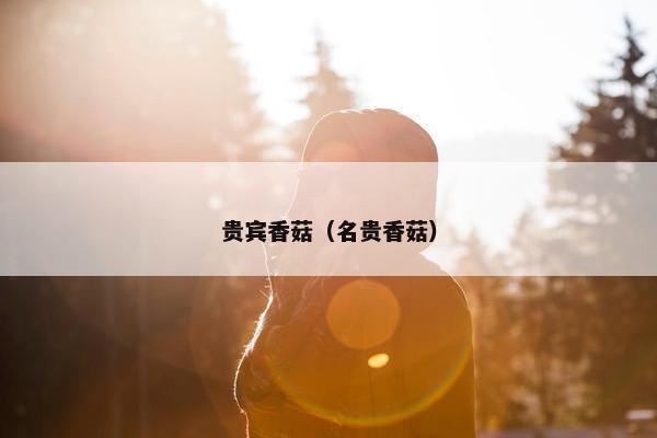 贵宾香菇（名贵香菇）