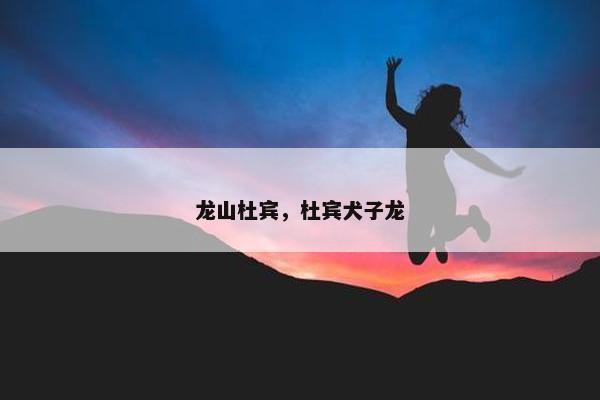 龙山杜宾，杜宾犬子龙