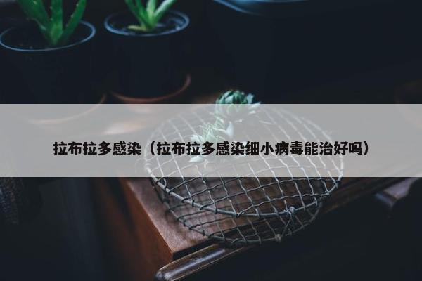 拉布拉多感染（拉布拉多感染细小病毒能治好吗）