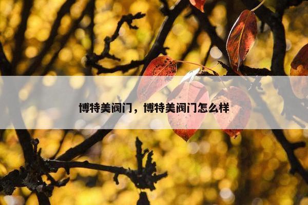 博特美阀门，博特美阀门怎么样