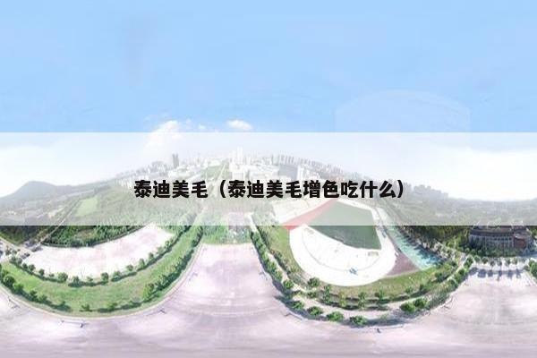 泰迪美毛（泰迪美毛增色吃什么）