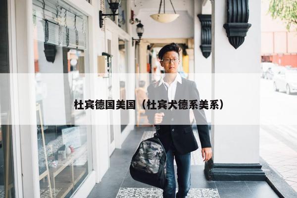 杜宾德国美国（杜宾犬德系美系）